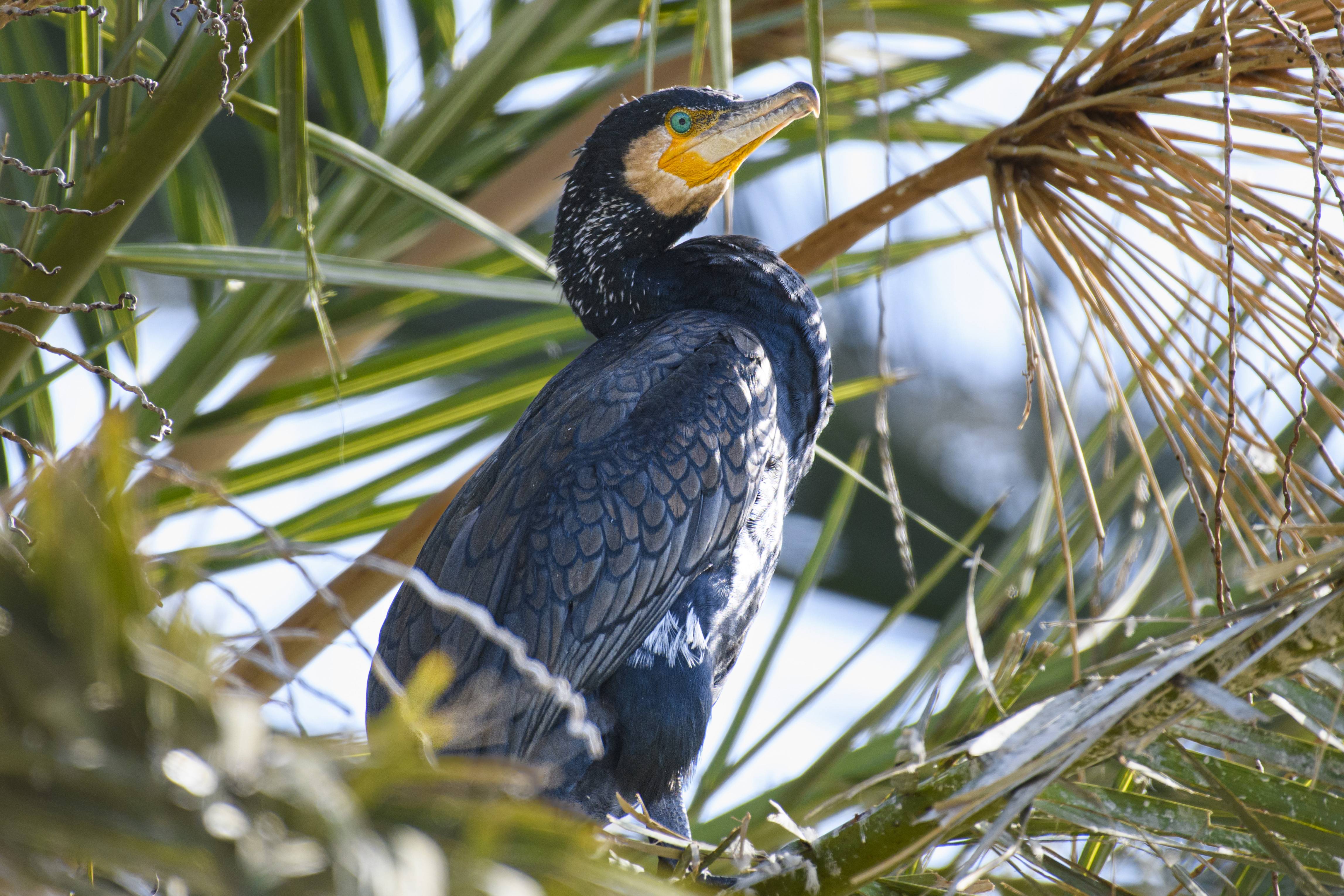 Portrait of a smiling traveler in soft light
