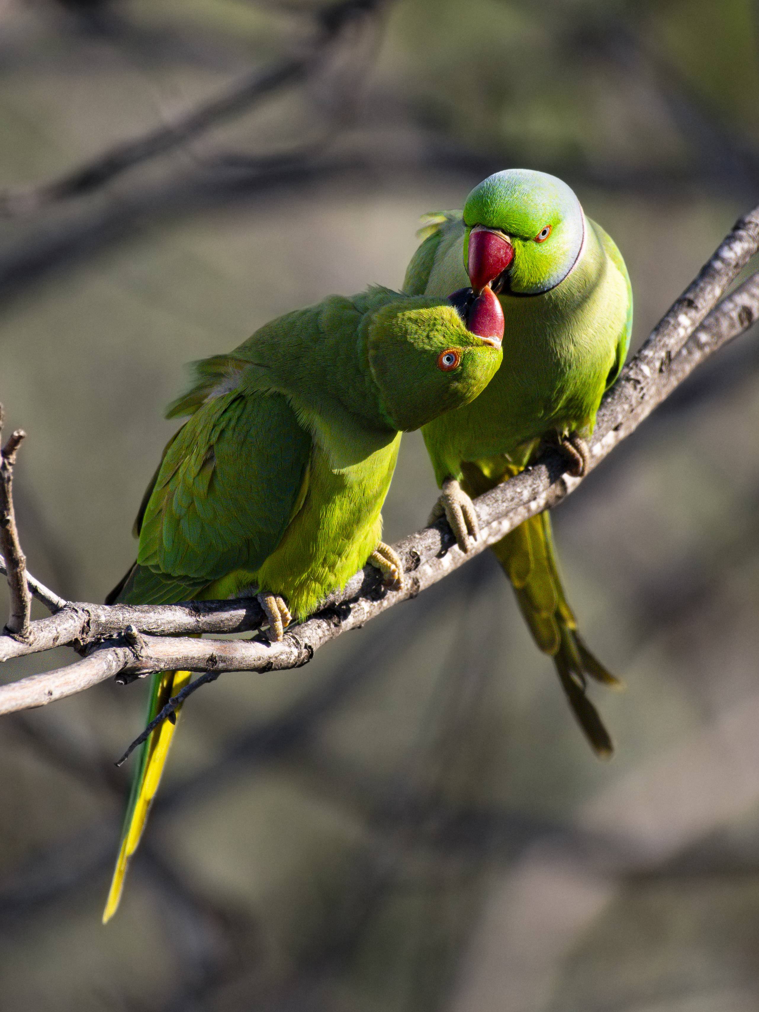Candid portrait lit by neon signage