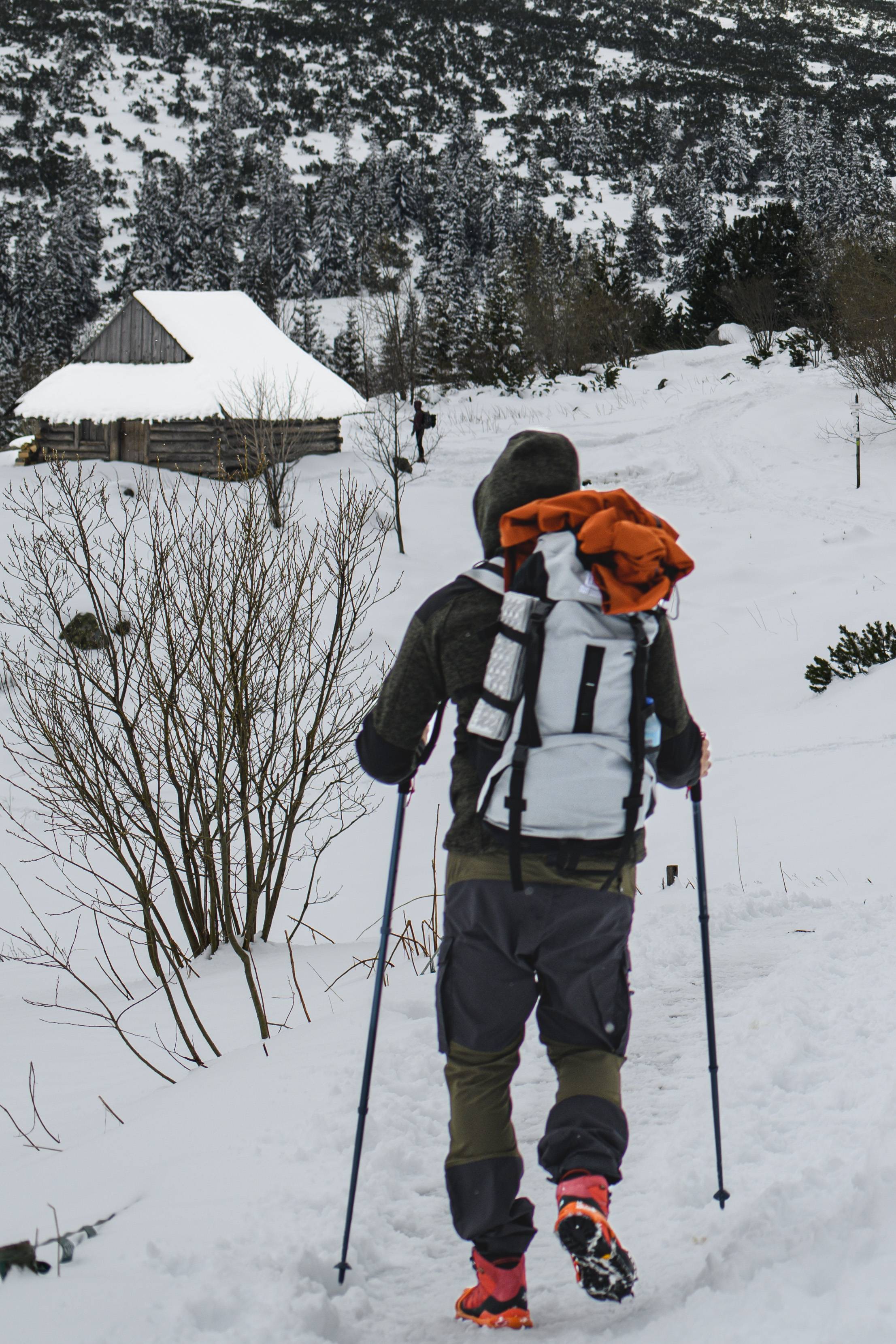 Landscape S24_6556-3